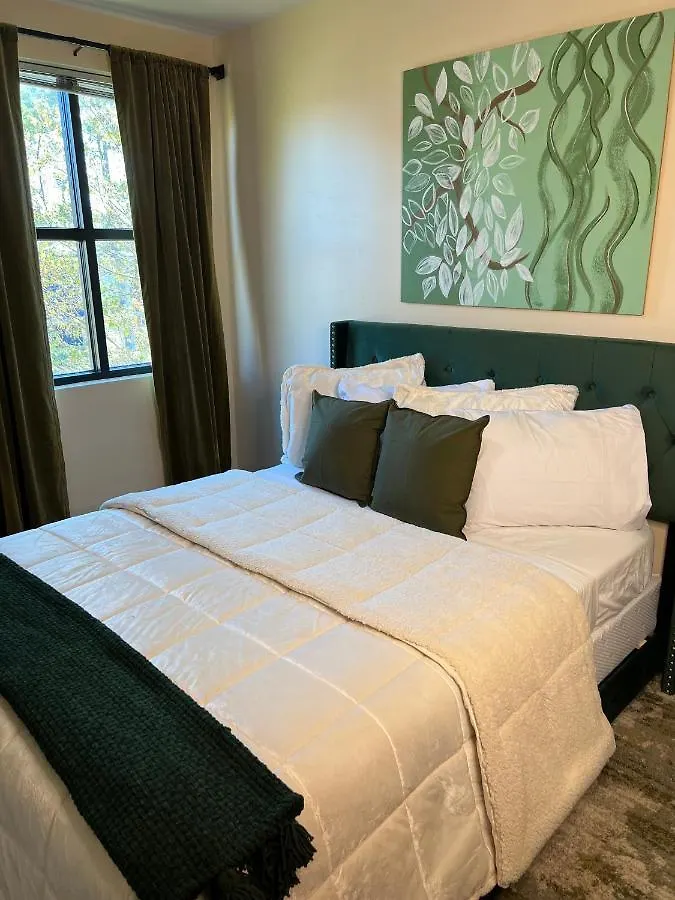 Luxury Midtown Flats Near Downtown Memphis & Fedex Forum Apartment United States
